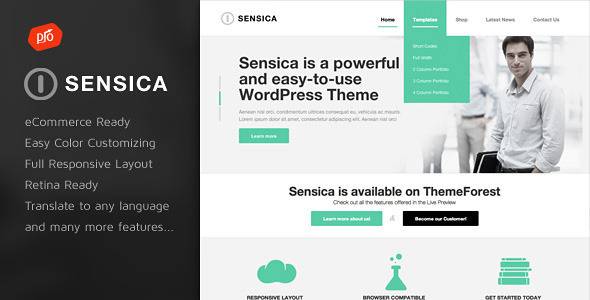 WordPress主题 Sensica 自适应商务企业展示模板